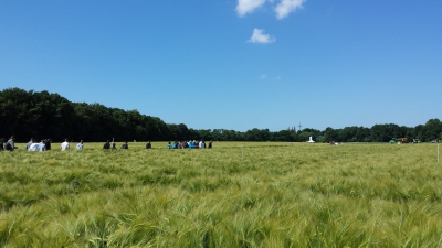 (Foto: Weber) Schönstes Wetter auf den Agravis Feldtagen.