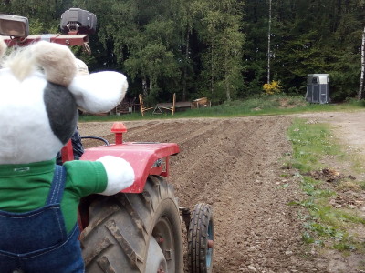 Und los geht´s Foto-Weber