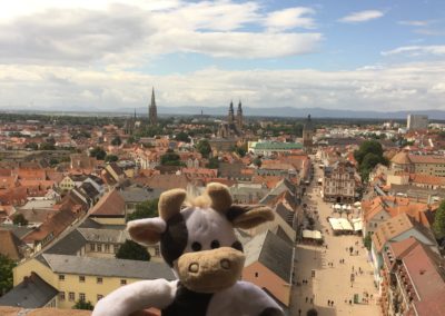 (Foto: Alfes) Wilma hoch über den Dächern von Speyer.
