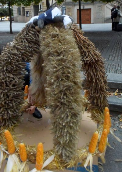 (Foto: BDL) Wilma nimmt die Erntekrone, die von der Rheinischen Landjugend gebunden wurde, genau unter die Lupe