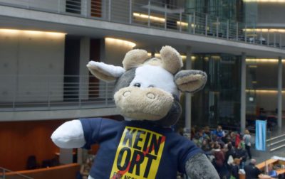 (Foto: Gräschke) Wilma darf heute mit in den Bundestag