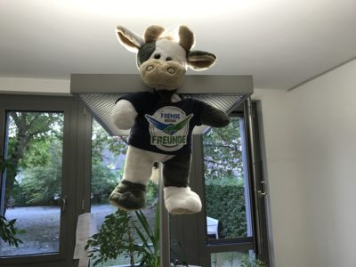 (Foto: Gräschke) Wilma hoch hinaus