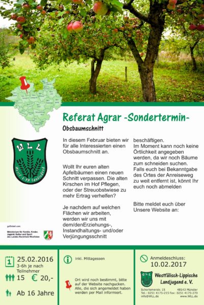 Flyer Obstbaumschnitt