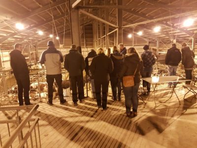 (Foto: WLL/Bohle) Besichtigung des Milchhofes Große Kintrup