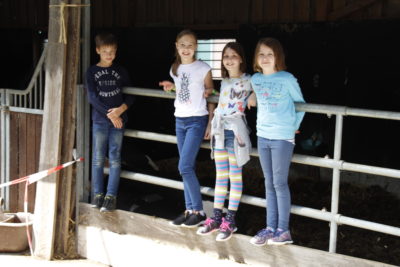 (Bild: WLL/Maletz) Foodcamp Tag 2 Bericht der Kinder