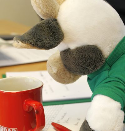 Wilma bei der Arbeit - Klausurvorbereitung mit der WLL-Geschäftsstelle (Foto: WLL/Welpelo)