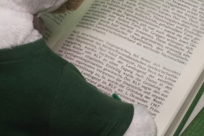 (Foto: WLL/Welpelo) Wilma recherchiert in der Chronik